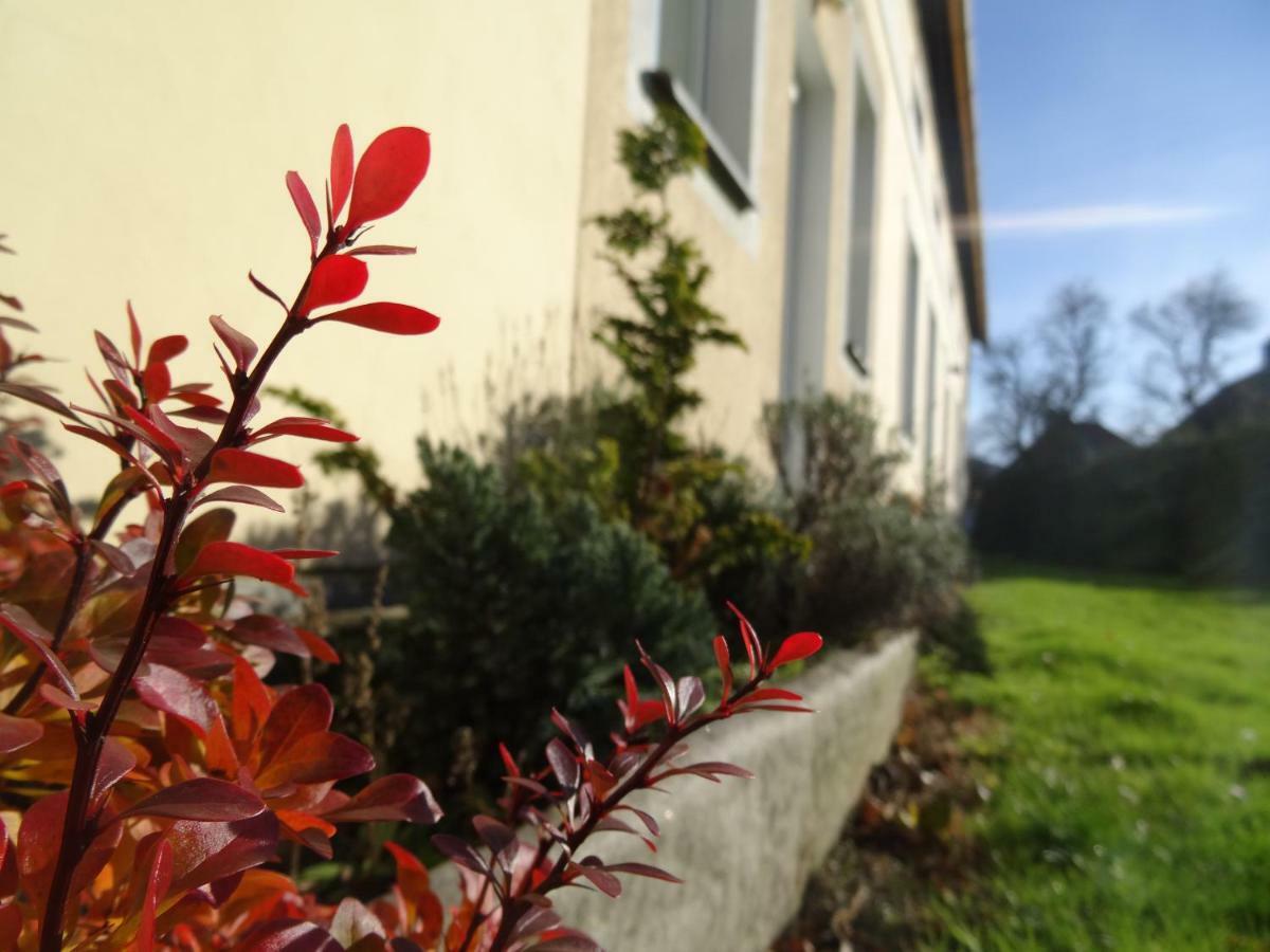 U Nas - Apartman Zajic Vapenna المظهر الخارجي الصورة
